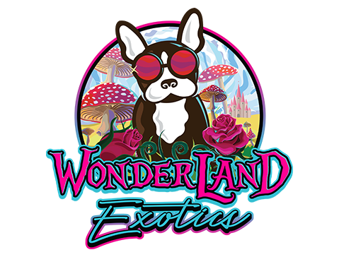 logo3